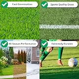 A1Lawn A1 Lawn Seed Mix 5kg DEFRA Certified Fast Growing Patch Repair view 2