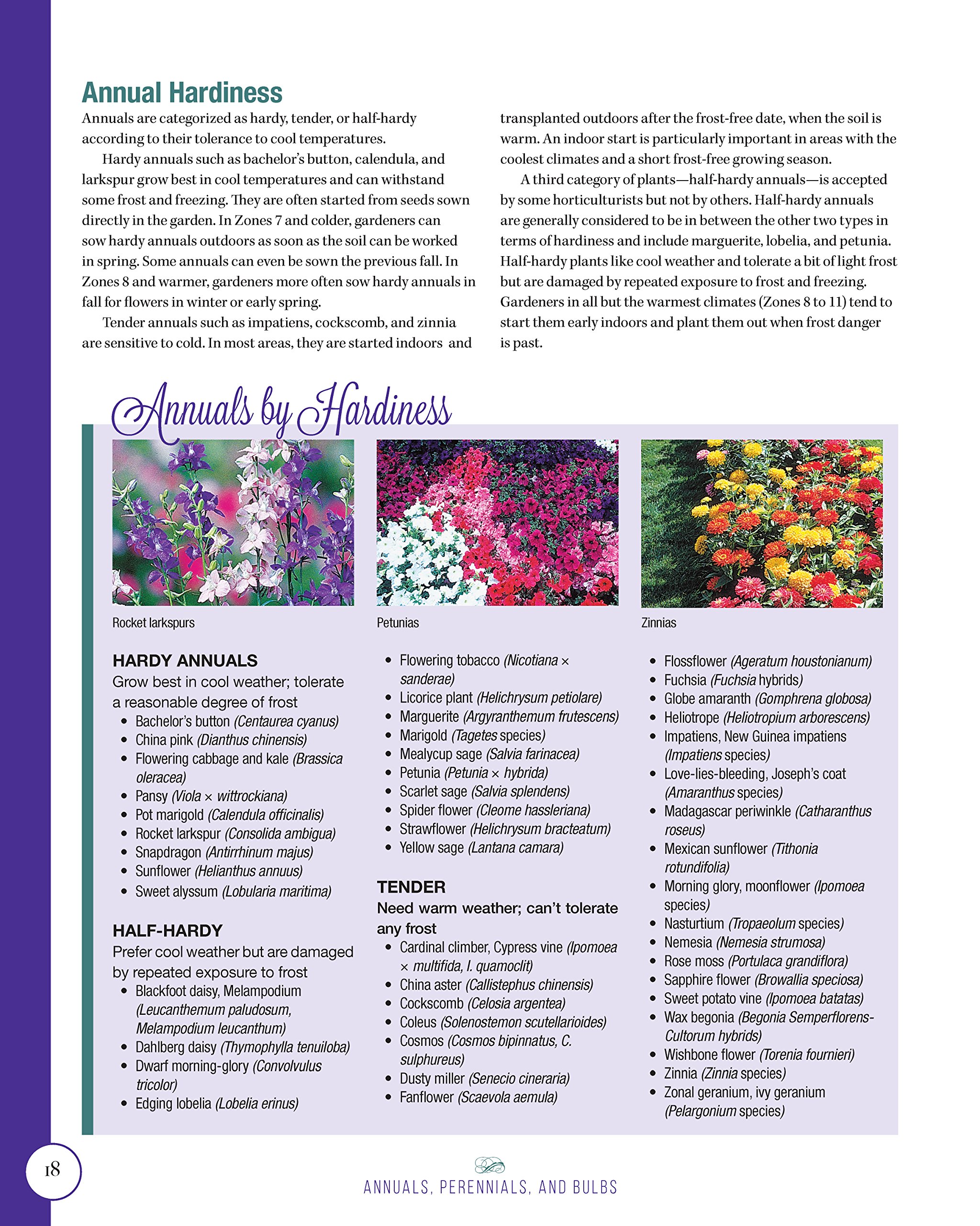 Annuals, Perennials, and Bulbs: 377 Flower Varieties for a Vibrant Garden (Creative Homeowner) 600 Photos and Over 40 Step-by-Step Sequences to Help Design, Improve, & Maintain Your Landscape