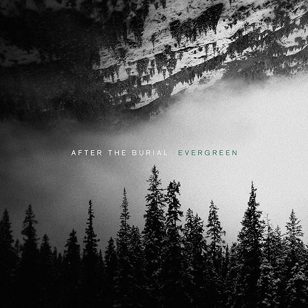【中古】 After The Burial / Wolves Within After the Burial, Dan Carle, Trent Hafdahl, Justin Lowe
