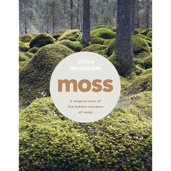 The Magical World of Moss Gardening: Martin, Annie: 9781604695601