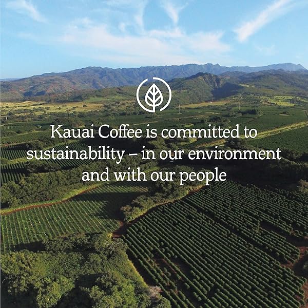 KAUAI COFFEE WHOLE BEAN COFFEE – SMOOTH, NON-BITTER PURE ARABICA – LIGHT FLORAL NOTES & BRIGHT AROMA – GROWN ON HAWAII’S LARGEST COFFEE FARM – KOLOA ESTATE MEDIUM ROAST, 1 PACK OF 32OZ