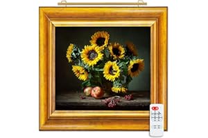 SITU ART LIGHTING Situ Lighting: Plug-in Vision Series Remote Controlled LED Art and Picture Light - USA Made - 3000K