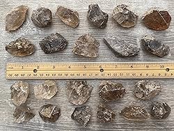 GAF TREASURES Wholesale Raw Smoky Quartz