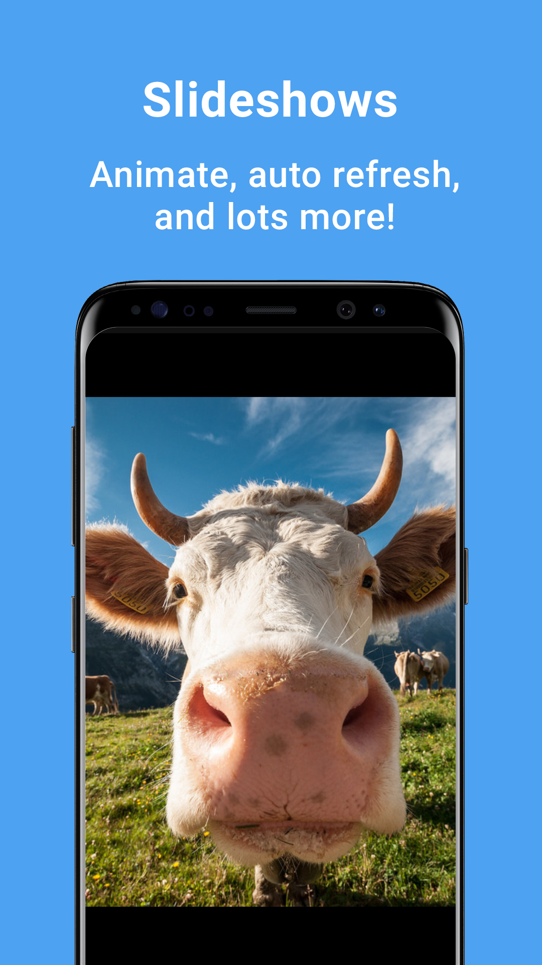 FlickFolio - Flickr Photos and Slideshows