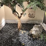 FANTIAN 2 lbs Black Pebbles 30-50 mm Garden Fish Tank Decorative Stones view 4