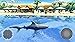 Shark Simulator