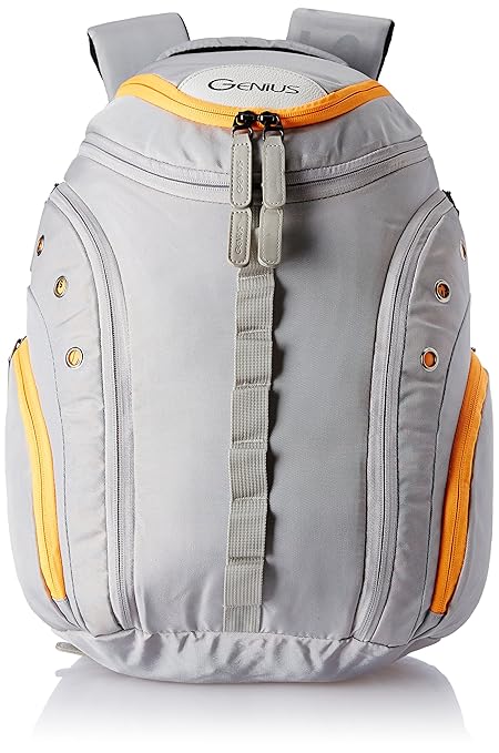Genius 35 Ltrs Grey Laptop Backpack (Techy 1701 Grey)