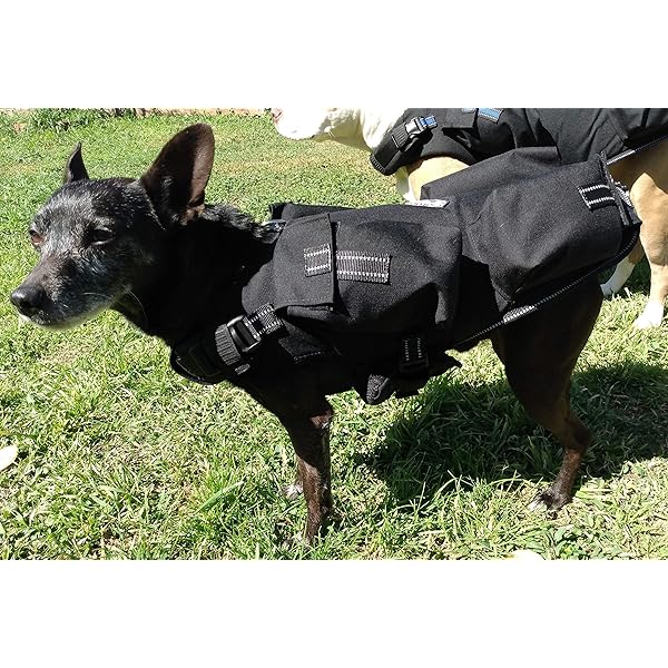 Xdog Weight ＆ Fitness Vest for Dogs Health Enhancement Harness to