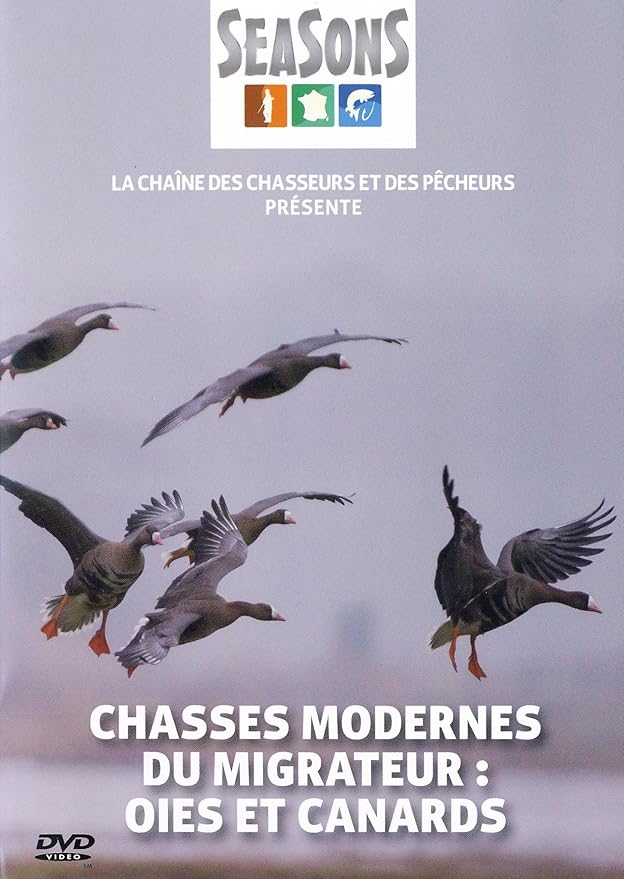 Chasses Modernes Du Migrateur Oies Et Canards Amazon Fr Olivier Hennegrave Dvd Blu Ray