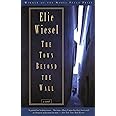 The Town Beyond the Wall: A Novel