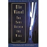 The Town Beyond the Wall: A Novel