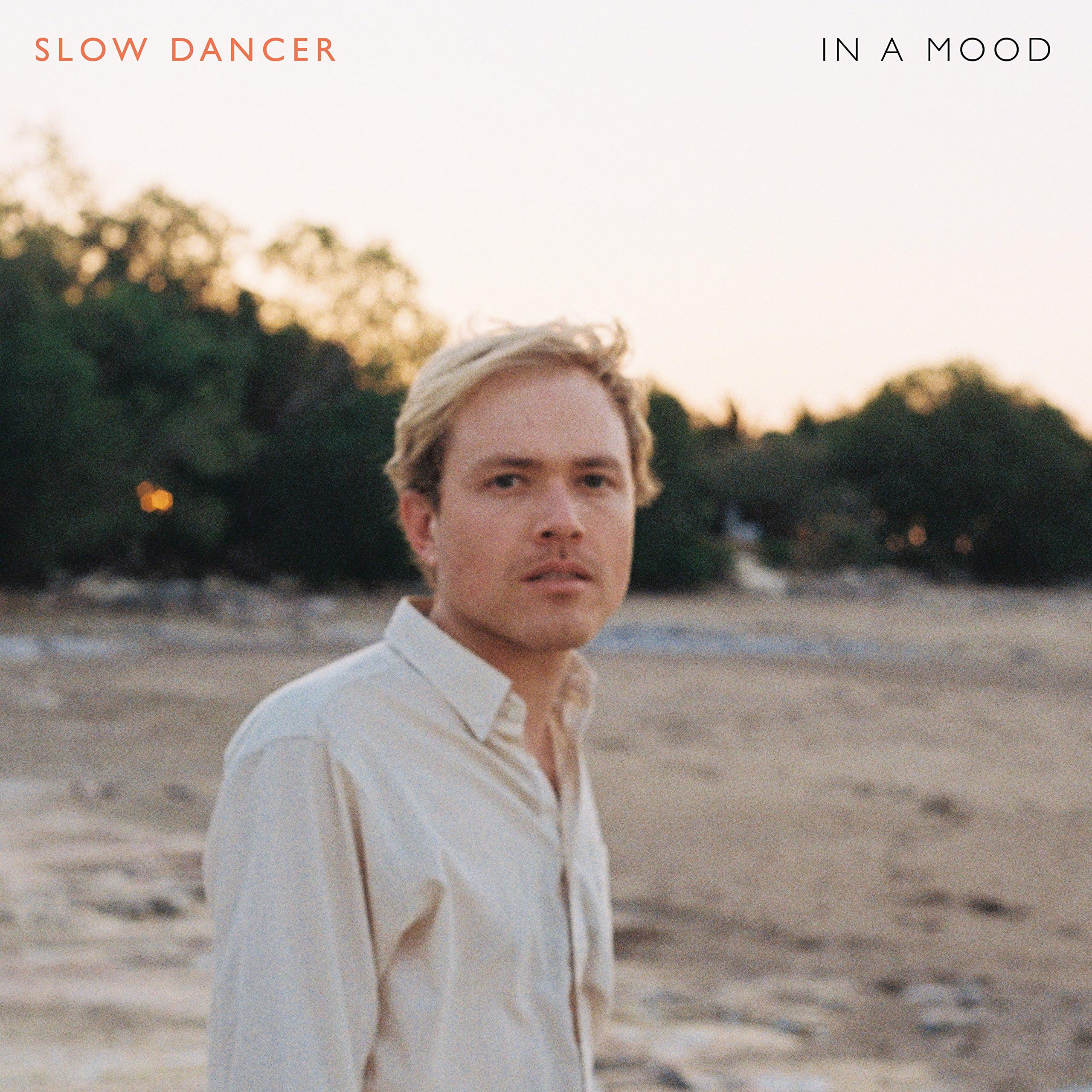 In A Mood [LP]