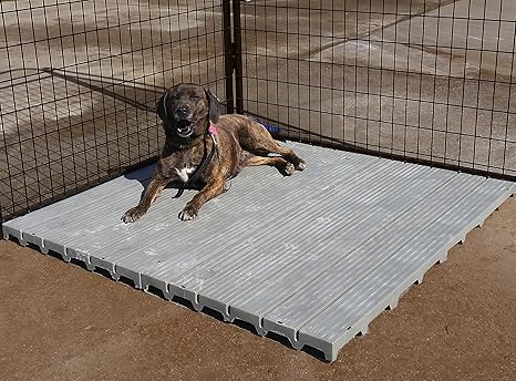 Amazon Com Cove Products 2 X 4 Raised Dog Kennel Comfortable