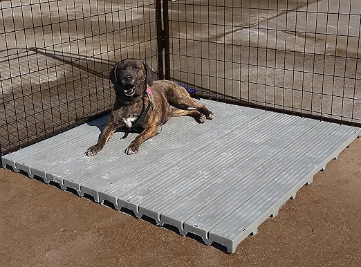 raised dog cages