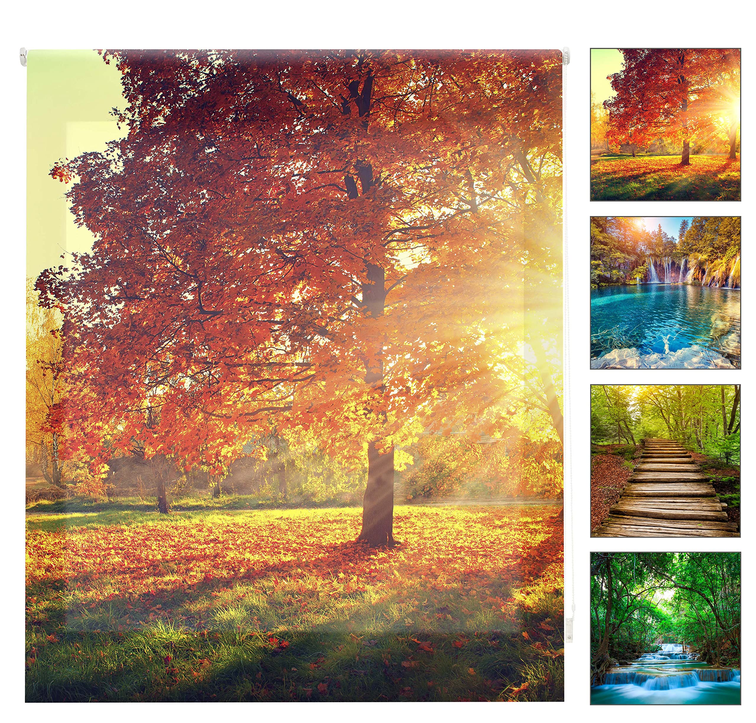 Blindecor W-P-37235 – Translucent Roller Blind, Digital Print, 130 x 180 cm, Multi-Coloured