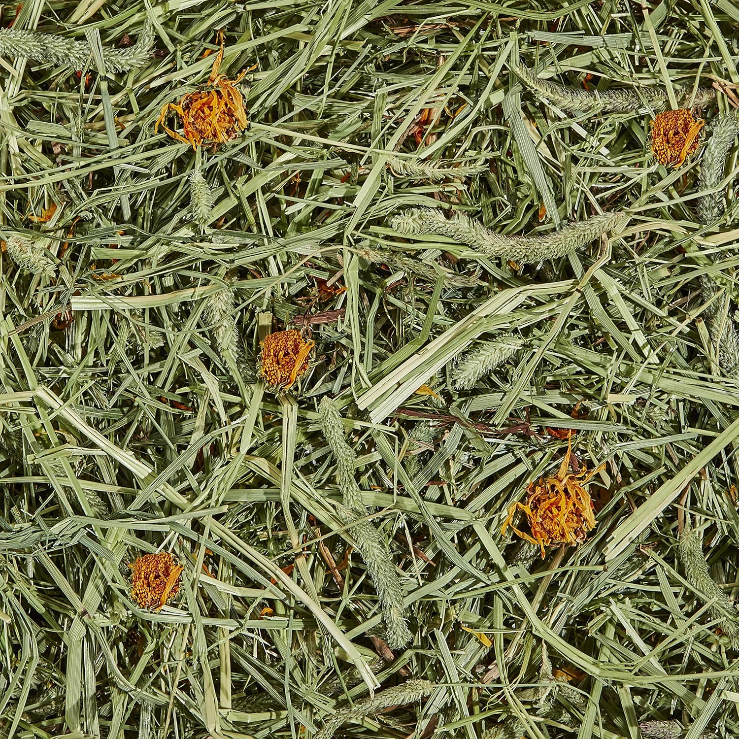Kaytee Timothy Hay Plus, Marigolds, 24-Ounce, Standard Packaging: Pet Supplies