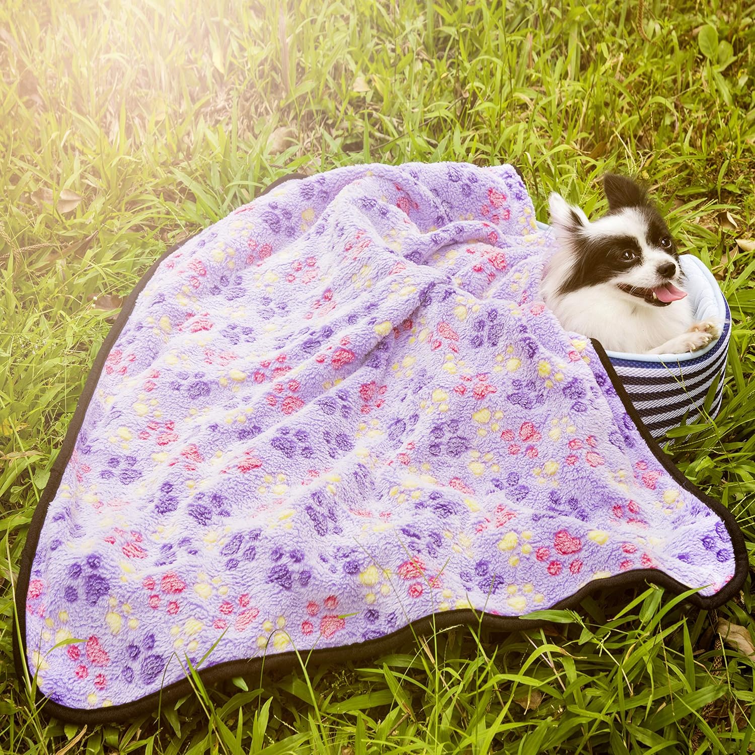 iNNEXT 3 Pack Puppy Blanket for Pet Cushion Small Dog Cat Bed Soft Warm Sleep Mat, Pet Dog Cat Puppy Kitten Soft Blanket Doggy Warm Bed Mat Paw Print : Pet Supplies