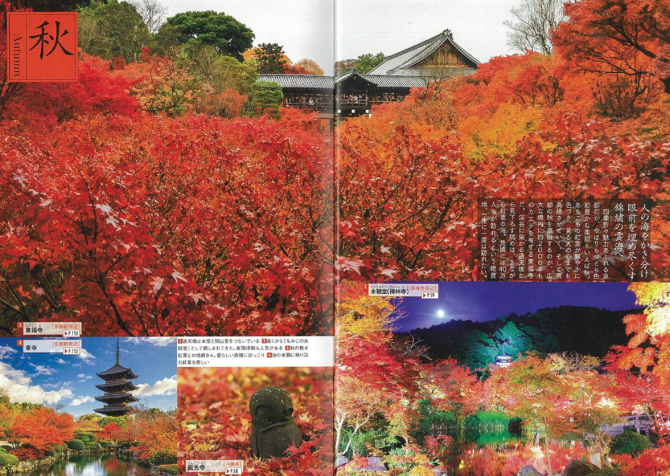 大人絶景旅 京都 大人絶景旅 日本の美をたずねて 朝日新聞出版 本 通販 Amazon