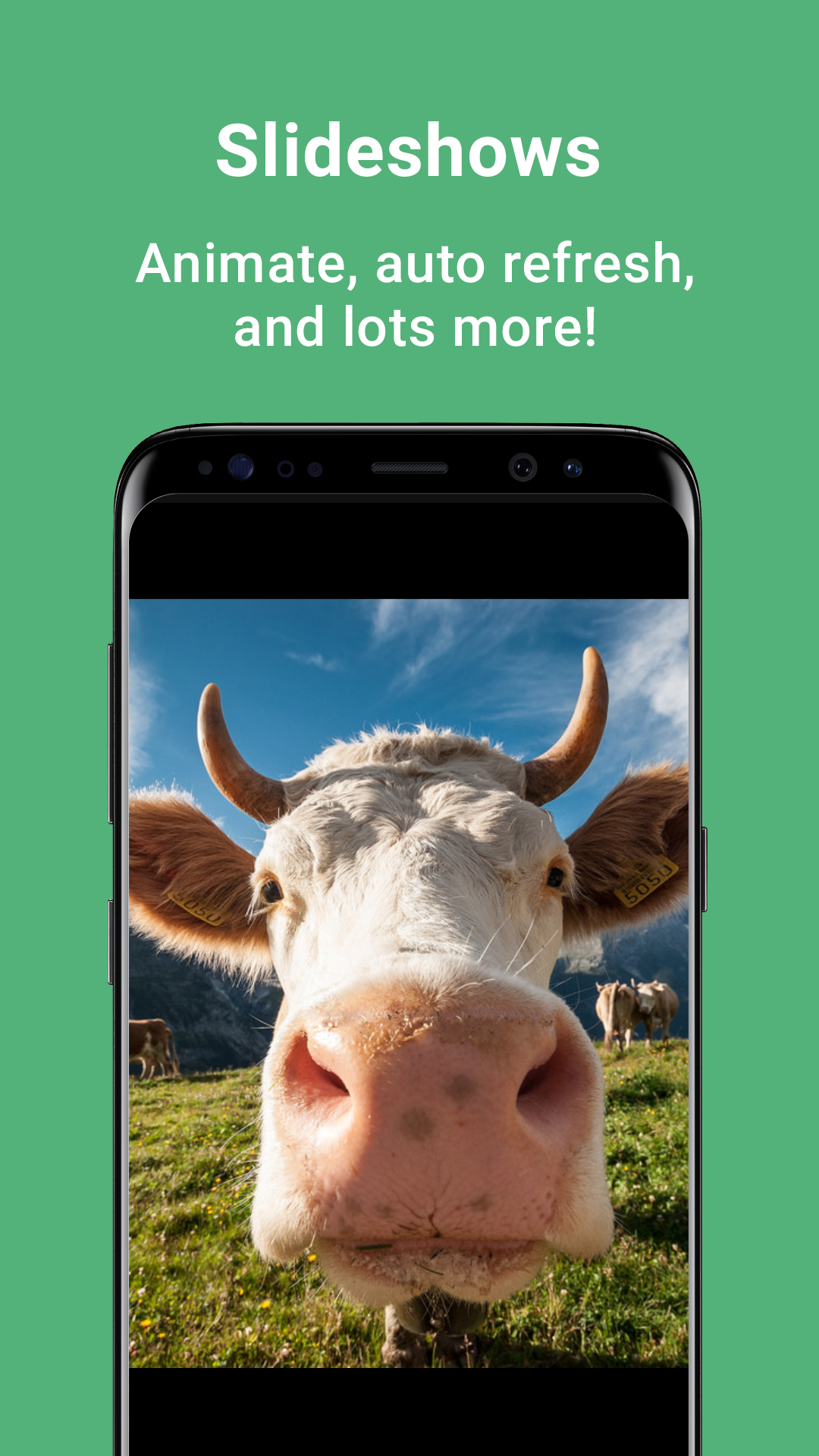 gFolio - Google Drive Photos and Slideshows