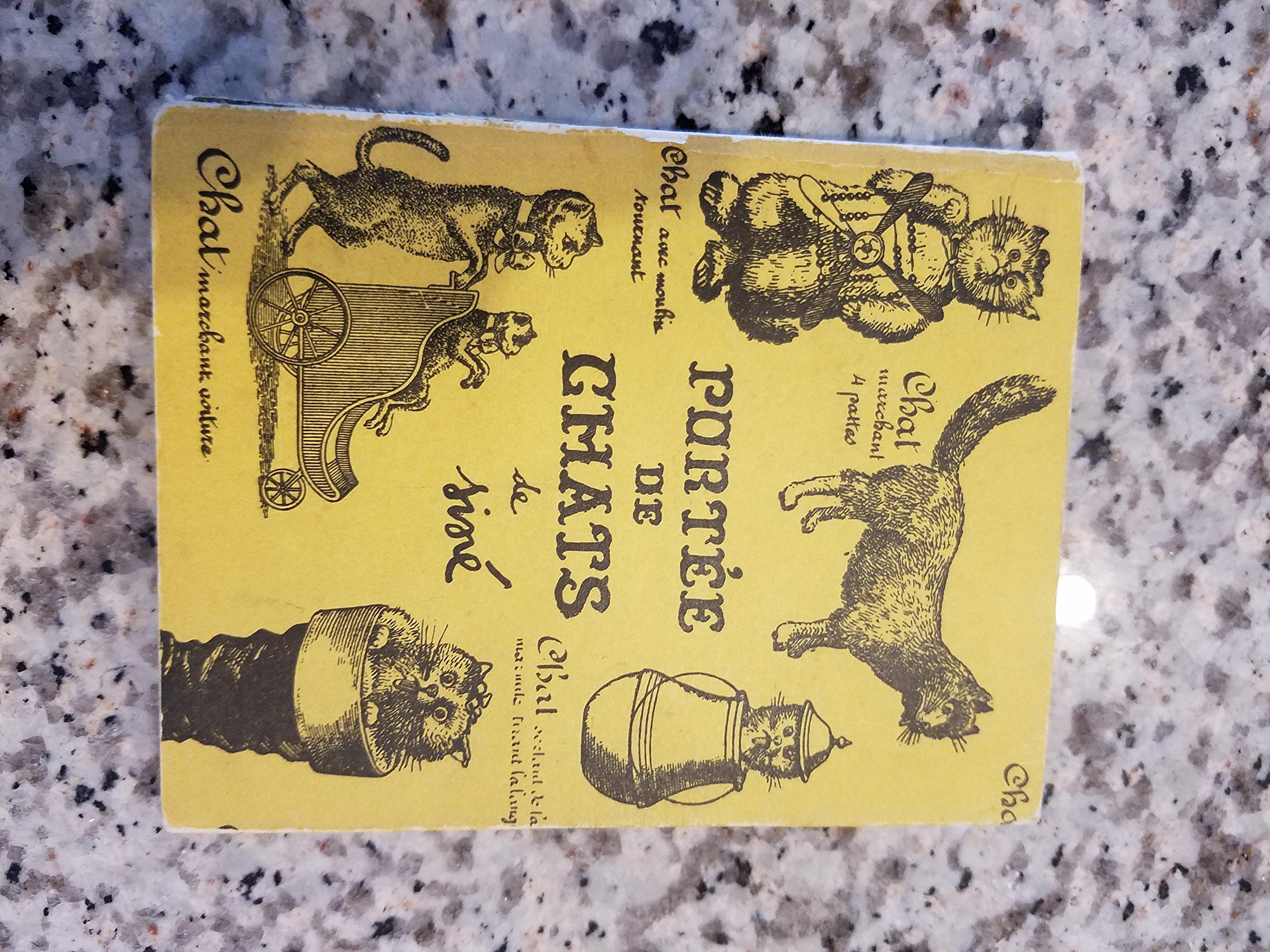 Portee De Chats Sine Author Amazon Com Books