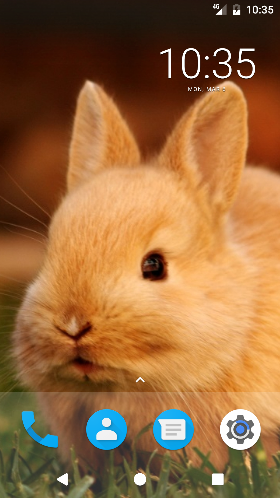 Cute Bunny HD Wallpapers:Amazon.com:Appstore for Android