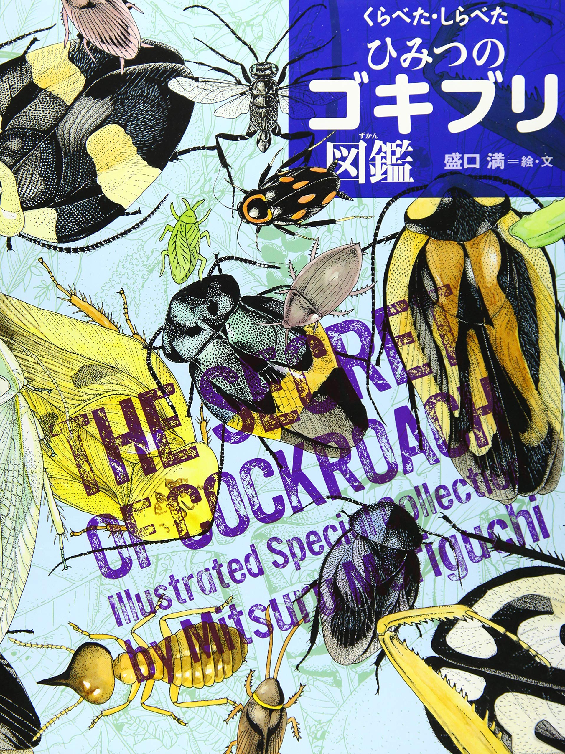 くらべた しらべた ひみつのゴキブリ図鑑 ちしきのぽけっと 盛口 満 盛口 満 本 通販 Amazon