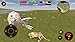 Clan of Cheetahs