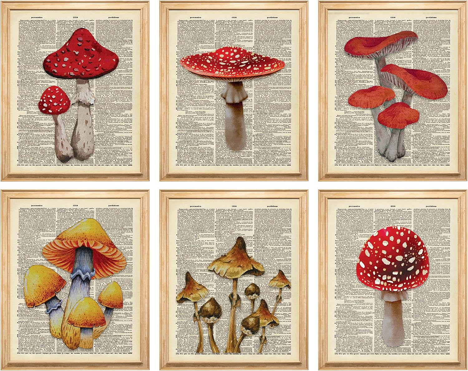 Wall Décor - 97 DECOR Vintage Mushroom Poster - Mushroom Wall Decor, Retro Mushroom Wall Art Prints, Cottagecore Room Decor Aesthetic, Earthy Dictionary Mushroom Picture for Home Bedroom Decoration (8x10 UNFRAMED)