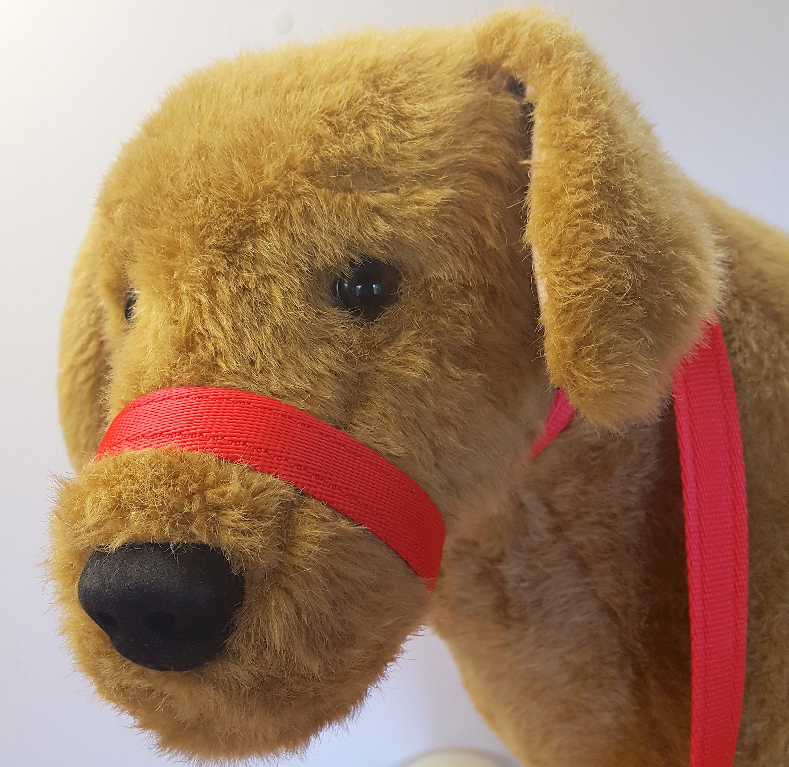 CUSHION WEB FIGURE OF EIGHT DOG HEADCOLLAR ONLY HALTI made from Cushion Webbing stops pulling dog puppy lead (Red)