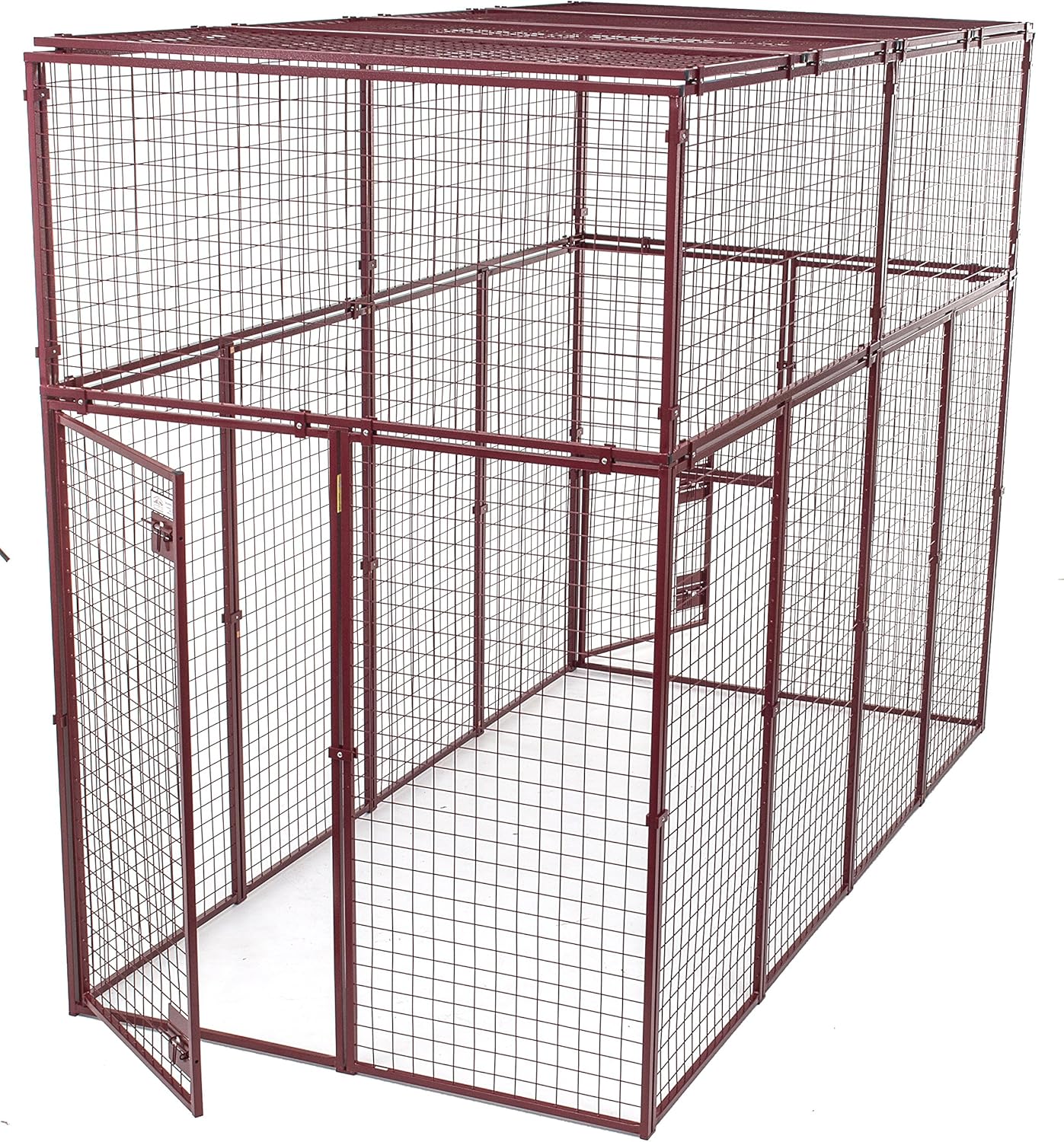 ramen and cats shirt