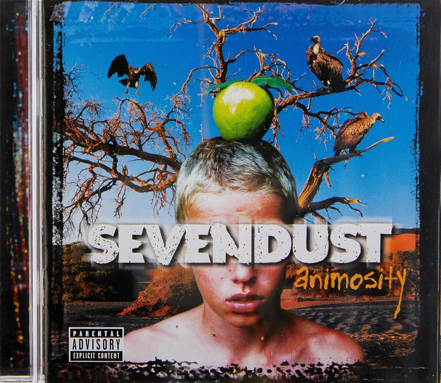 Animosity Album Art
