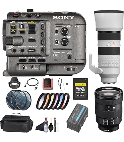 Amazon.com : Sony FX6 Full-Frame Cinema Camera (Body Only) (ILME
