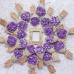 20-Piece Set Mini Magnet Dried Flowers Bouquet for