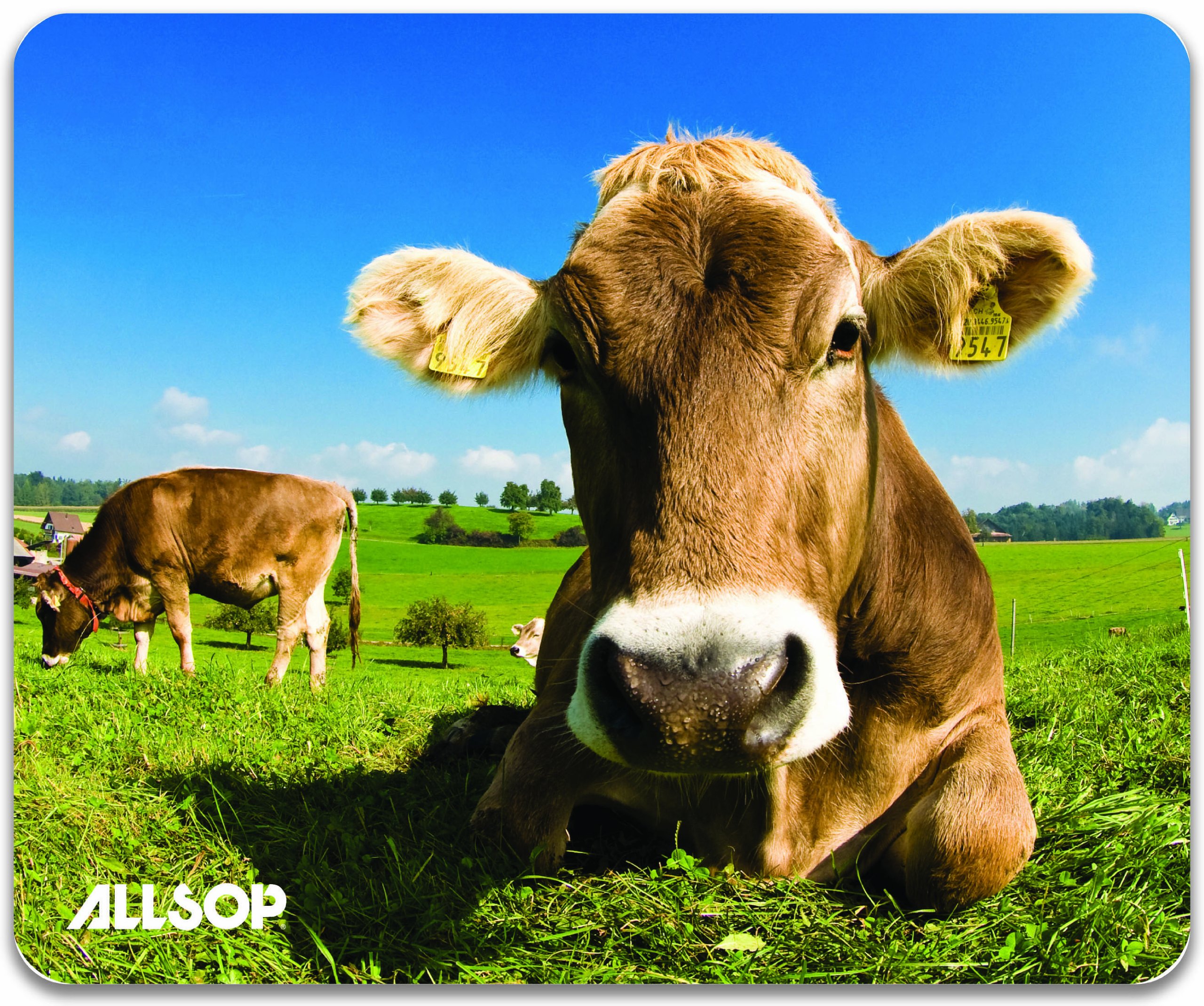 Allsop Cows in the Meadow Value Mouse Pad 06410