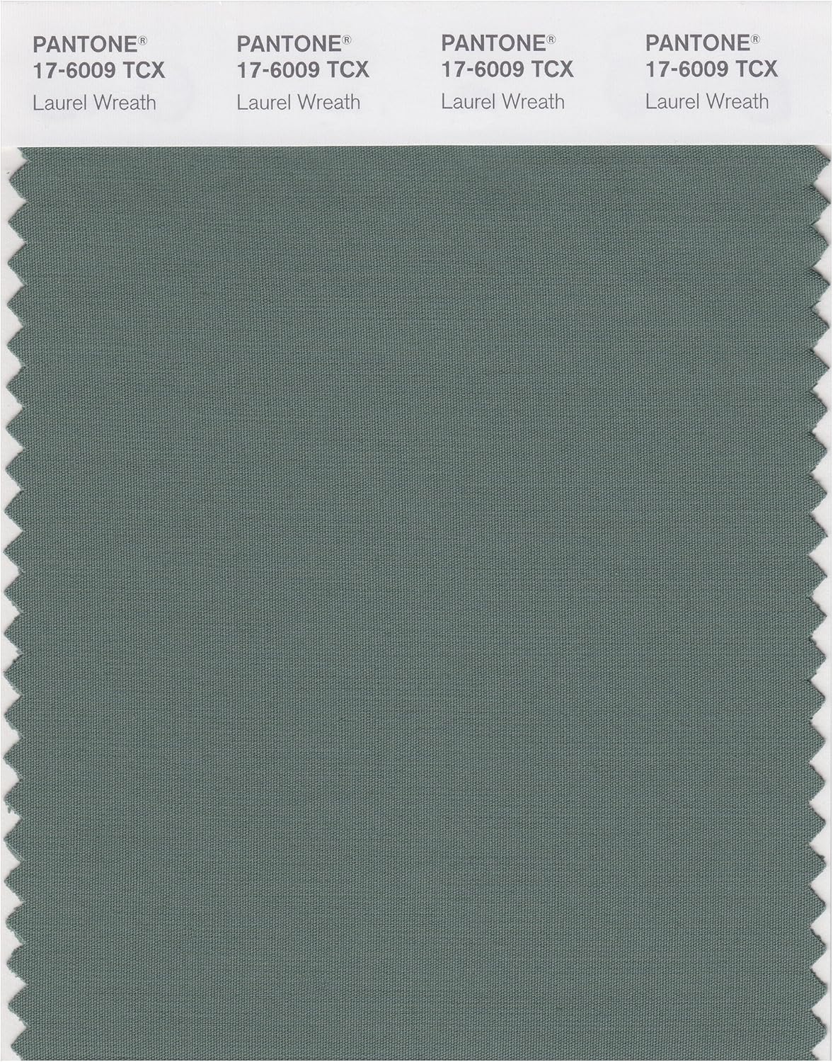 pantone-laurel-green-pantone-green-pantone-colour-palettes-pantone-my