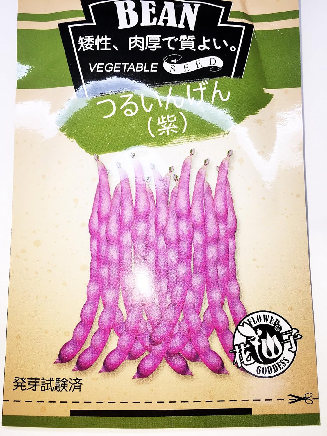 Amazon 珍種子 紫つるありいんげん豆の種子 矮化つる性 紫色 つるありインゲン豆の種子 15粒入 野菜