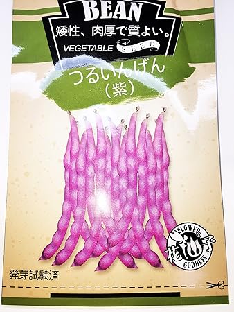 Amazon 珍種子 紫つるありいんげん豆の種子 矮化つる性 紫色 Amazon 珍種子 紫つるありいんげん豆の種子 矮化つる性 紫色