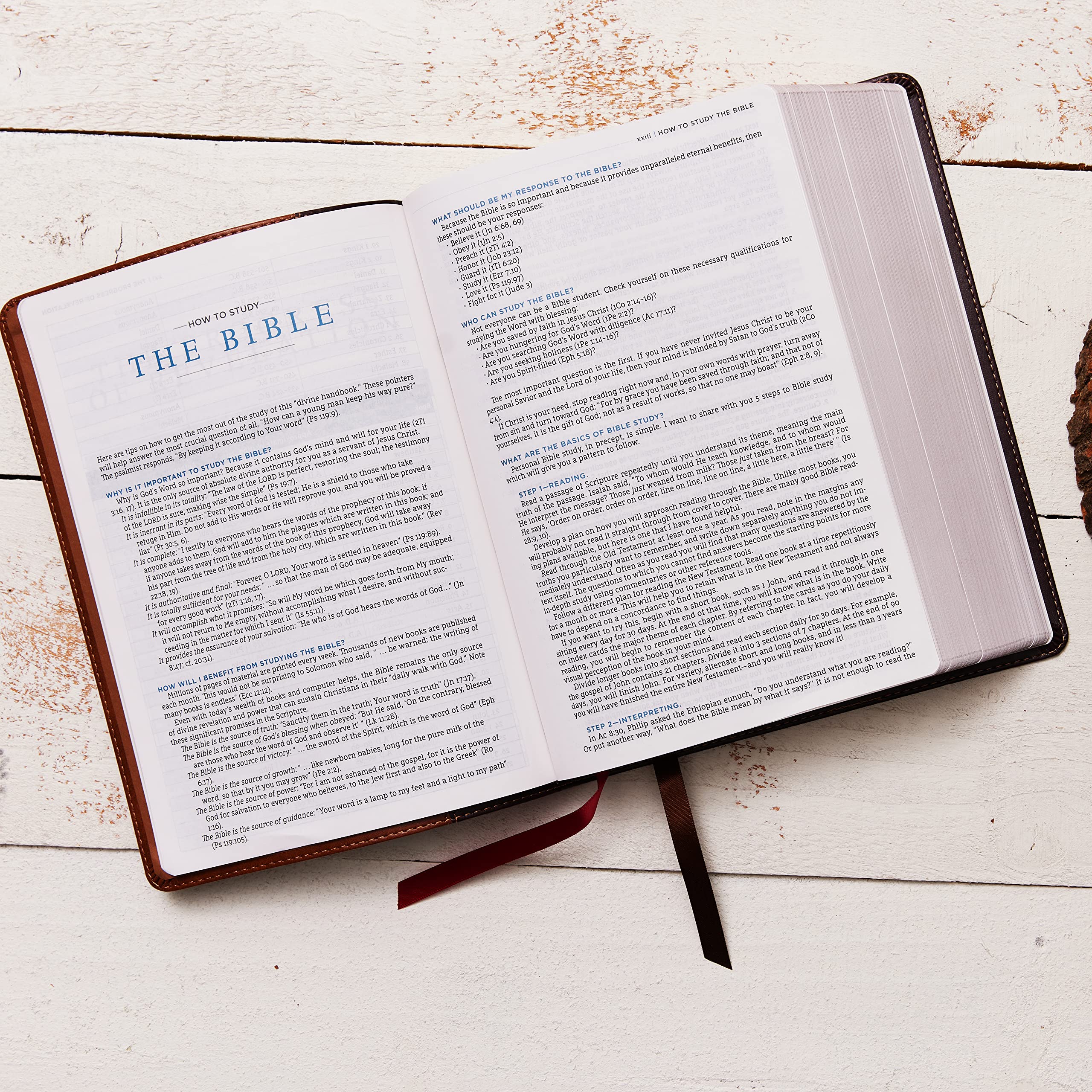 NASB, MacArthur Study Bible, 2nd Edition, Leathersoft, Brown, Comfort Print: Unleashing God's Truth One Verse at a Time NASB, MacArthur Study Bible, 2nd Edition, Leathersoft, Brown, Comfort Print: Unleashing God's Truth One Verse at a Time Imitation Leather Kindle