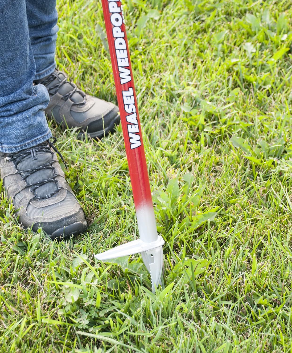 Garden Weasel Step and Twist Hand Weeder, Chemical Free Weeding, 36” Long, Red & Silver : Garden & Outdoor