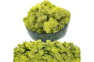 Gusaloo Moss Preserved Artificial Moss - 8.8 oz Natural Fresh Green for Craft, Arts, Floral Projects, Wall & Table Decor, Wedding Centerpieces, Garden Terrariums - Lemon Yellow