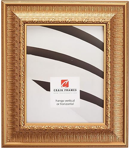 Amazon.com - Craig Frames Ancien Ornate, 20 x 30 Inch Antique Gold