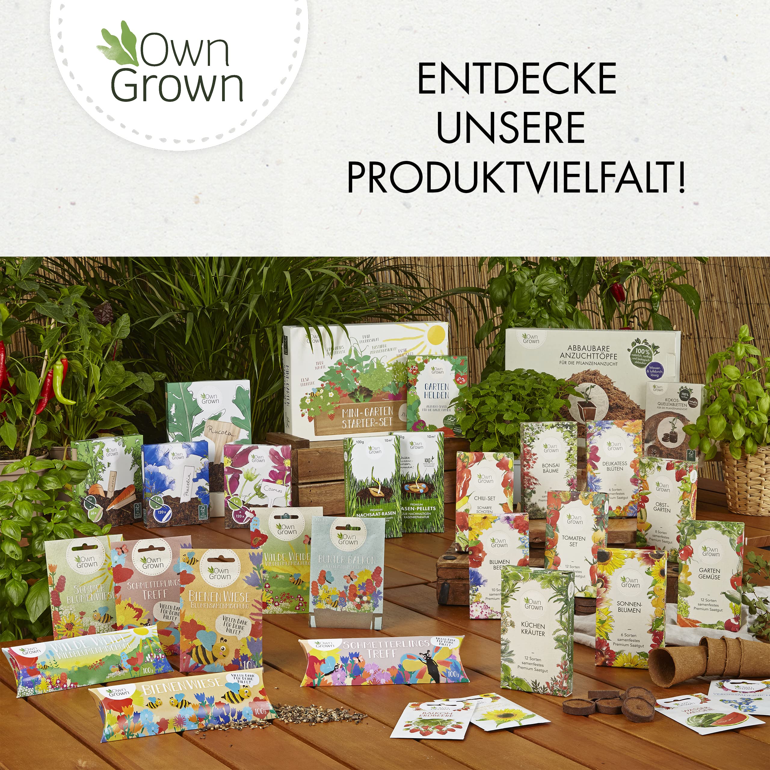 OwnGrown Gelbe Fliegenfalle für Zimmerpflanzen - 60 Stück Mückenbekämpfung Aufkleberpapier - Sonnenblumen Fruchtfliegenfalle Ideal für Zimmerpflanzen und den Innenbereich - 13,5 x 7,5 cm 7
