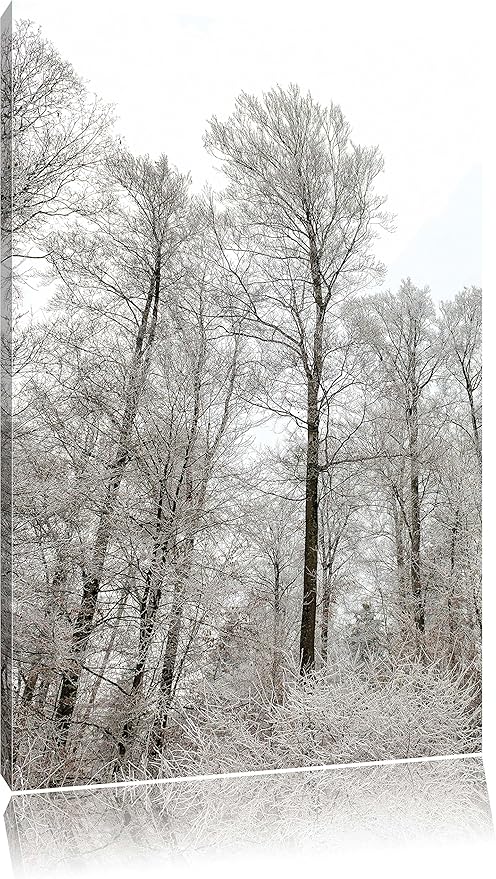 Pixxprint Bosco Innevato Stampa Su Tela 80x60cm Artistica Murale Amazon It Casa E Cucina