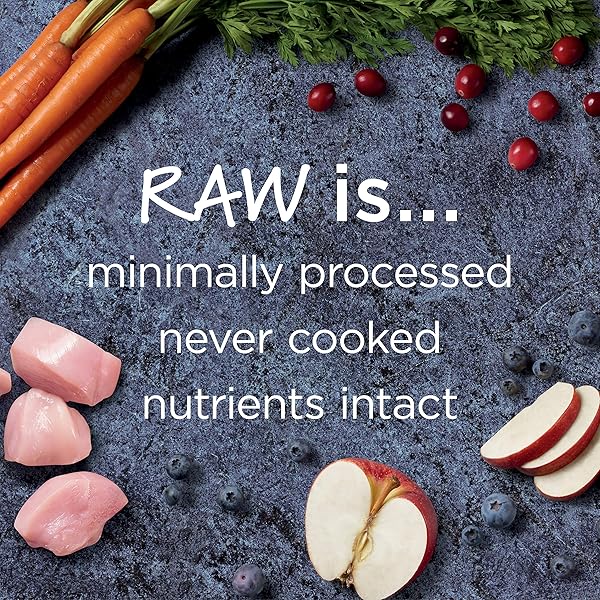 INSTINCT RAW BOOST HEALTHY WEIGHT, NATURAL DRY CAT FOOD WITH FREEZE DRIED PIECES, GRAIN FREE RECIPE – REAL CHICKEN, 10 LB. BAG