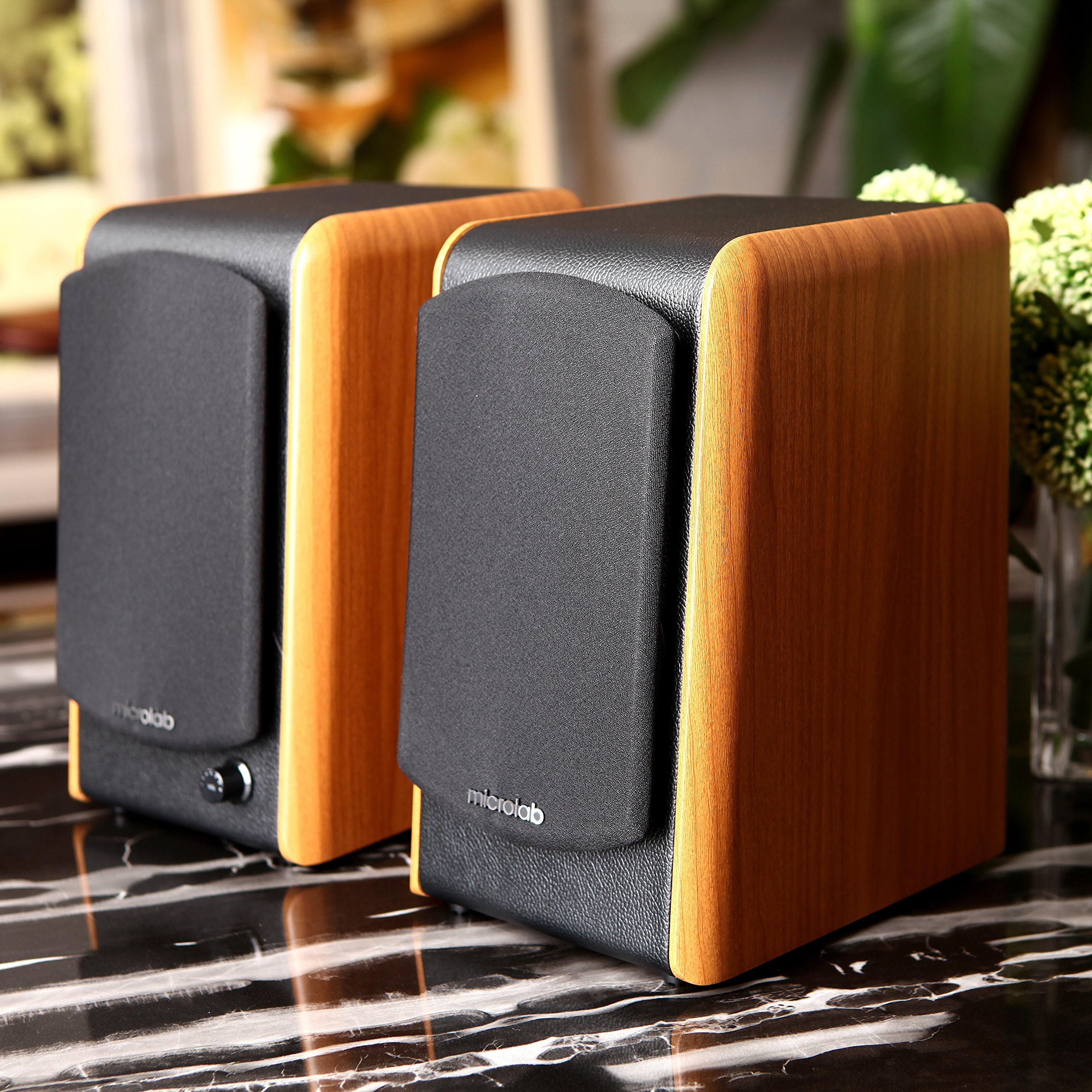 Microlab B77 Acoustic HiFi Subwoofer Home Theater Amplifier Satellite