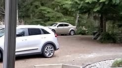 oceven wireless dog fence