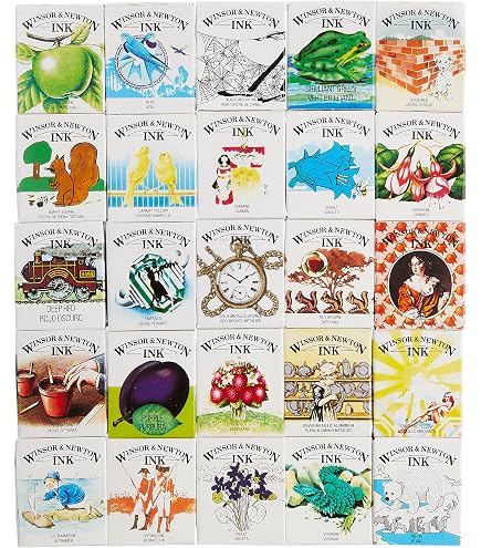 Amazon.com: Windsor & Newton Drawing Ink 14ML 25C Set (Japan Import)