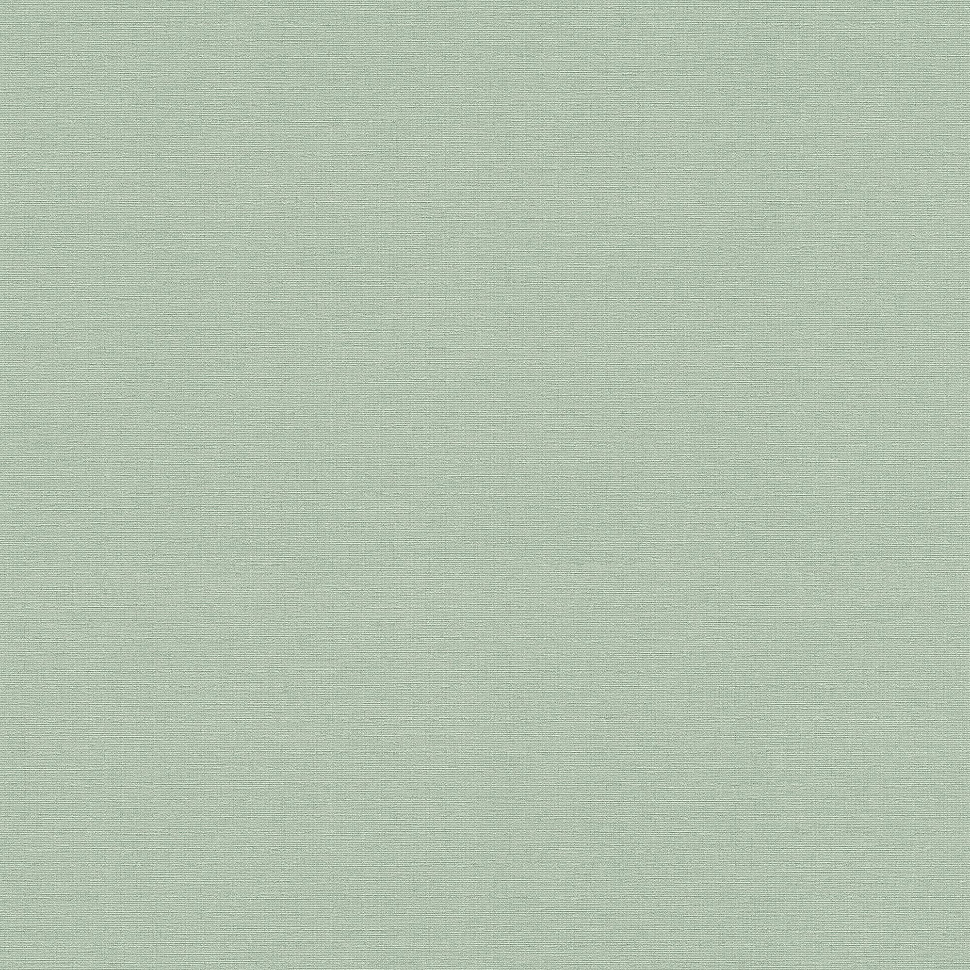 Galerie HV41018 Havana Plain Texture Wallpaper, Light Green, 10.05m x 53cm