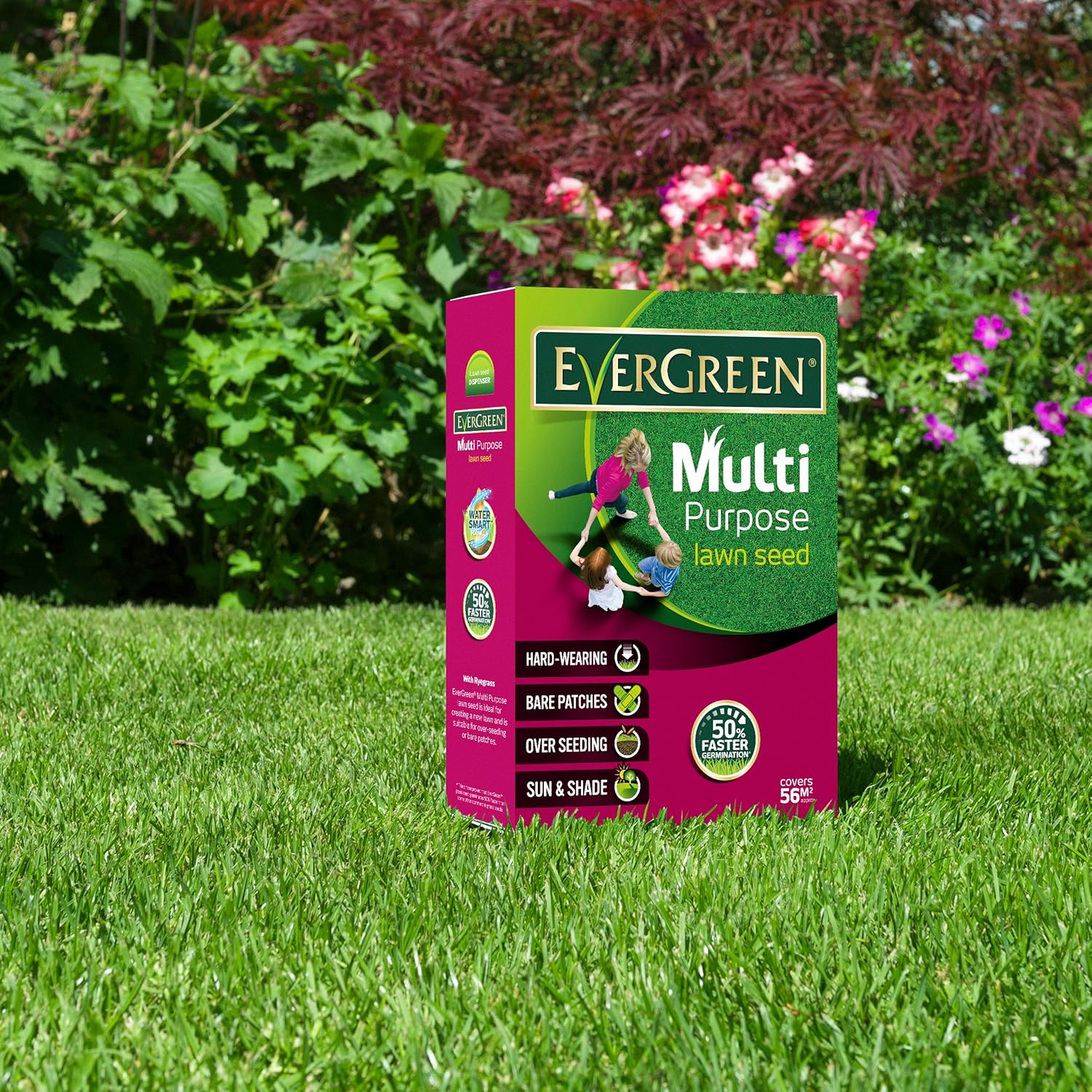 How To Keep Birds From Eating Grass Seed? 6 Easy Ways To Keep In Your Mind