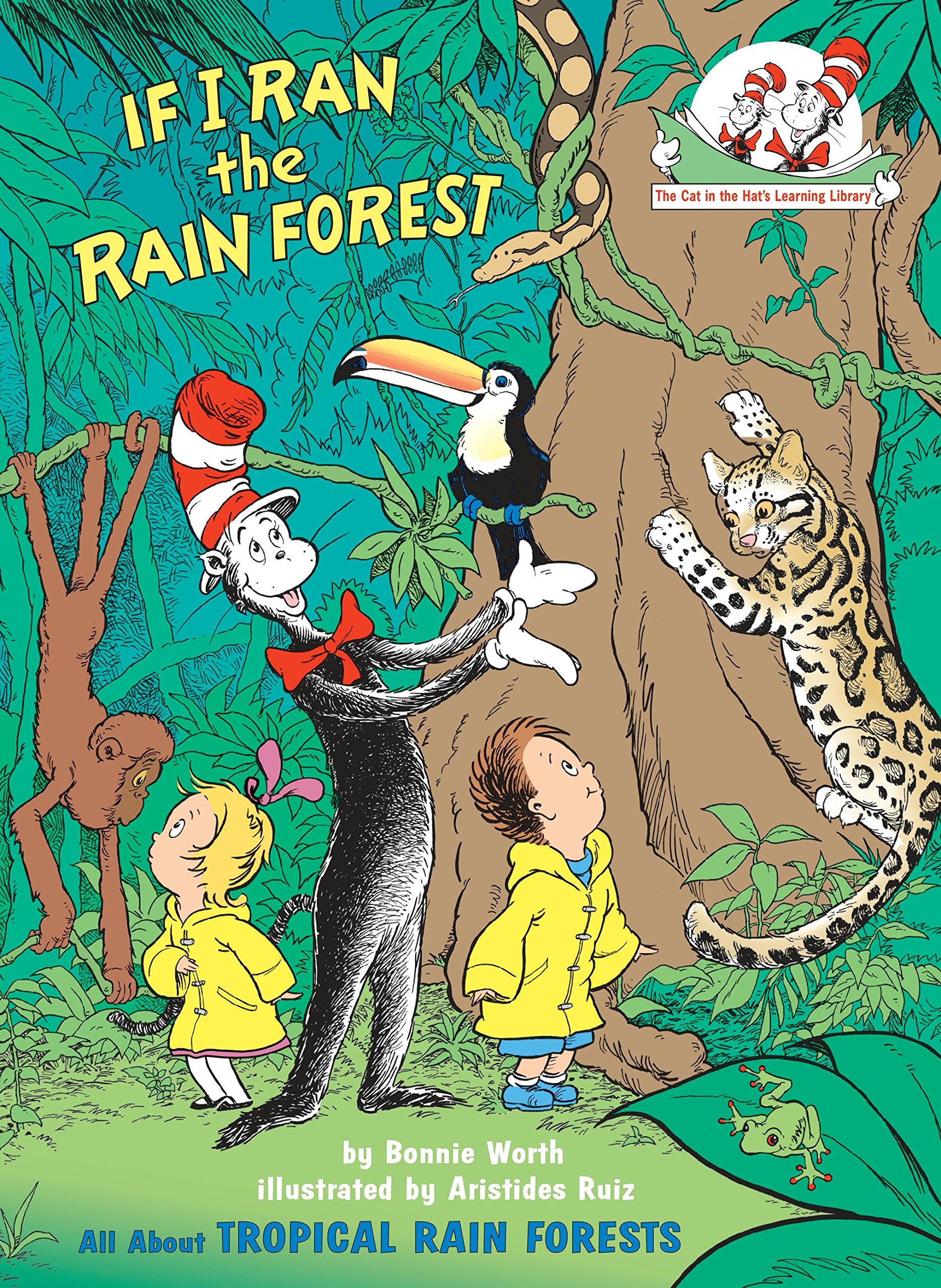 48 Fantastic Rainforest Books for Kids Teaching Expertise